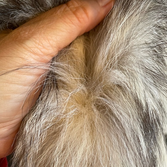 Used Sliver real fox stole used . L-XL. With free Fendi scarf or bag of - Picture 10 of 16